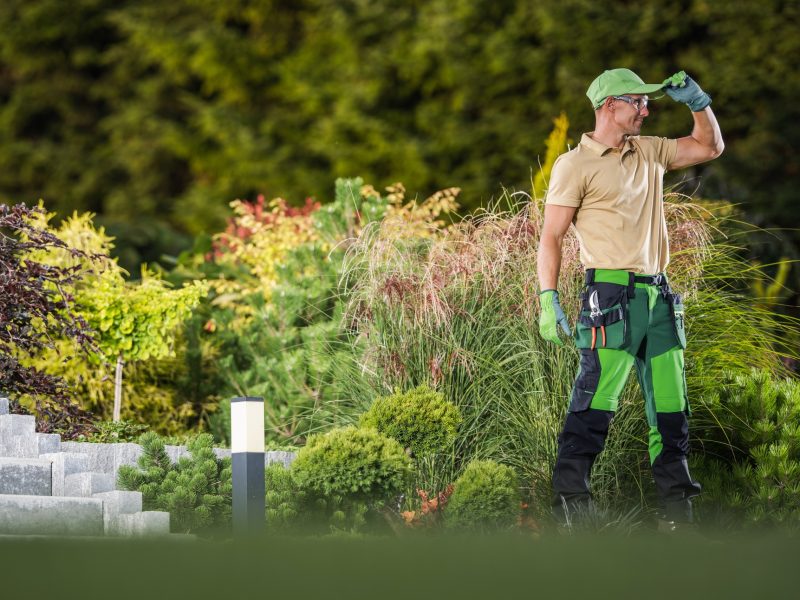 Happy Landscaper in Front of His Garden